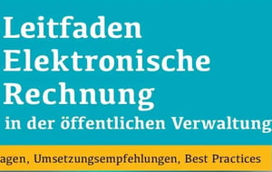 2025-05-08 09_49_01-Leitfaden Elektronische Rechnung in der öffentlichen Verwaltung _ Wolfgang König